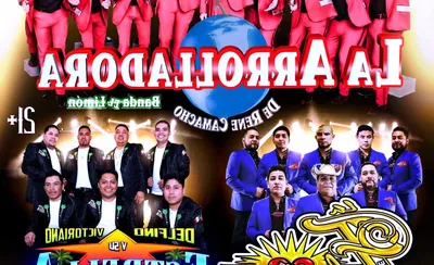 La Arrolladora Banda El Limon
